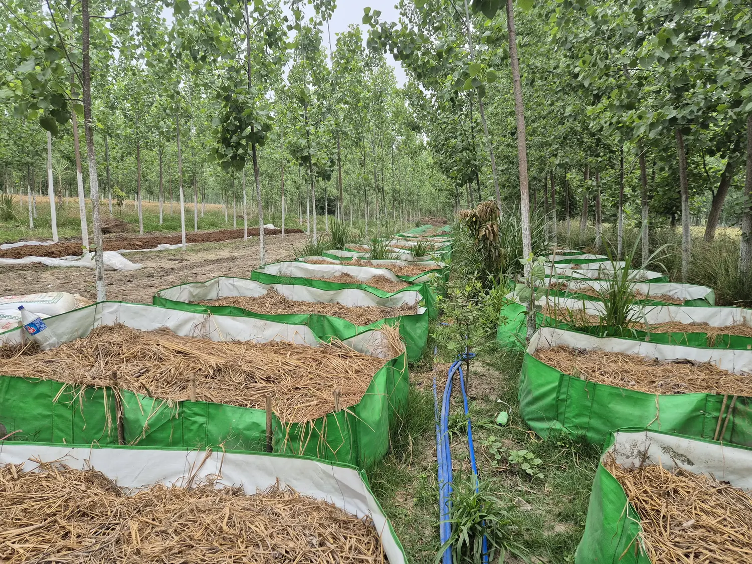 20250410_170817 (1).webp